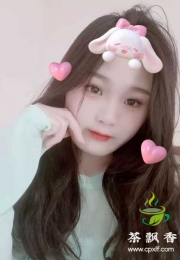 兼职白领茜茜
