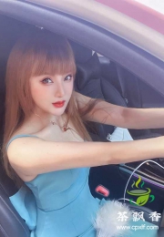 禅城小爱