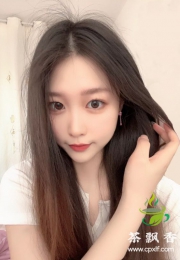 车模小姐姐