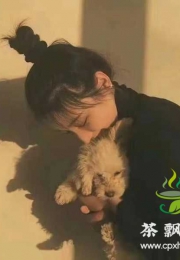 海珠区 纹纹