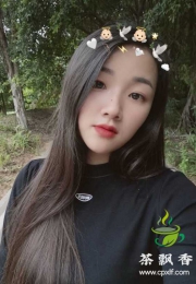 天河新人琴儿